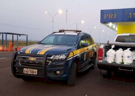 Homem &eacute; flagrado com 300 quilos de agrot&oacute;xicos contrabandeados na MS-141