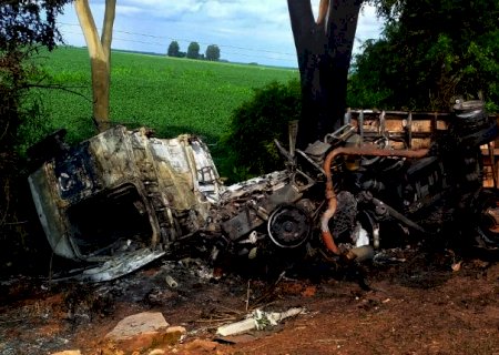 Carreta carregada com cerca 140 porcos pega fogo e cavalo mecânico fica destruído na MS-376 em Fátima do Sul