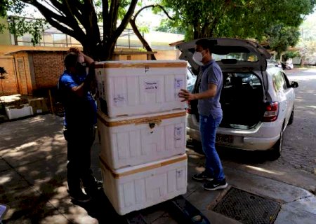 Japorã abre vacinação contra covid para pessoas acima de 18 anos