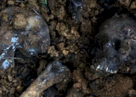Ao roçar terreno para plantar horta, homem encontra ossada