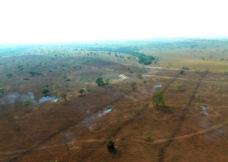 Homem é multado em quase R$ 30 mil por incêndio em vegetação