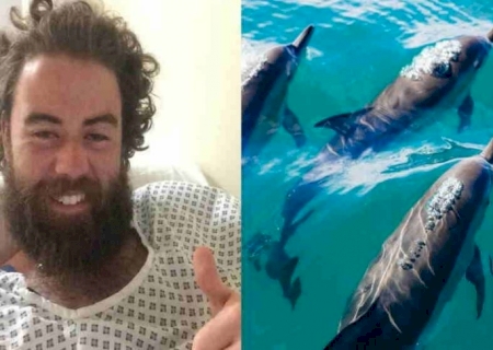Nadador desaparecido é resgatado com ajuda de golfinhos