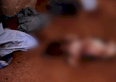 Vizinho denuncia idoso que jogou filhote de cachorro no chão e matou animal a pauladas