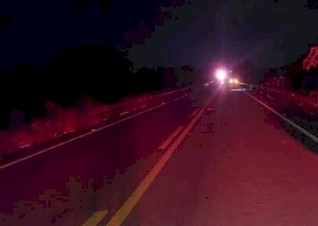 Motociclista de 18 anos morre depois de atropelar anta na MS-395