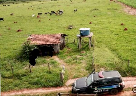 Avaliado em mais de R$ 30 mil, gado furtado &eacute; recuperado pela pol&iacute;cia
