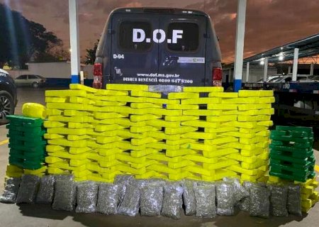 A caminho de SP, casal &eacute; preso com mais de meio milh&atilde;o de reais em maconha