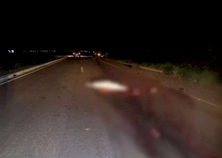 Homem morre atropelado por carreta ap&oacute;s motociclista b&ecirc;bada cair em rodovia