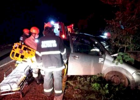 Depois de atropelar capivara, carro sai da pista e colide em &aacute;rvore