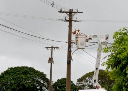 Colmeia de abelhas é removida de poste no Esplanada