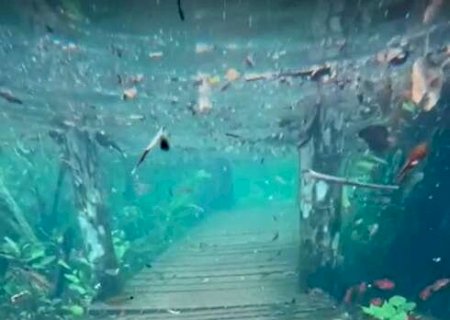 Ap&oacute;s chuvas intensas, trilha fica submersa em Bonito