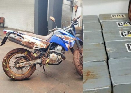 Polícia desconfia de vegetação baixa e encontra cocaína em meio a plantação de soja em Dourados