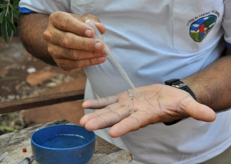 Igreja, agropecuária, construtora e associação de judô são multados pela ‘lei da dengue’