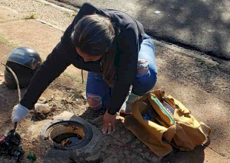Agentes do CCZ visitam mais de 6 mil imóveis em bairros de Dourados; foco é combate à dengue
