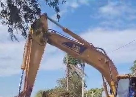 Após morte de peixes, prefeitura inicia limpeza de lago tomado por ‘tapete de aguapé’