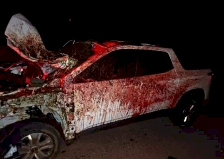 Casal fica ferido ap&oacute;s carro colidir com cavalo na BR-376