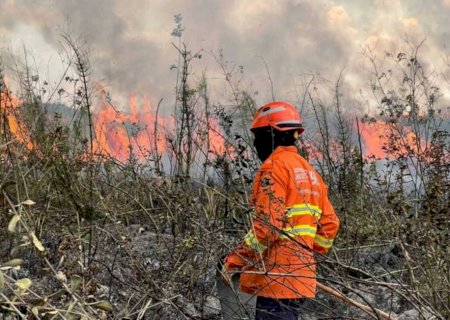 Queda de raio pode ser a causa de incêndio em Bonito