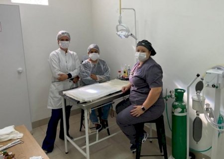 Programa de castração de cães e gatos começa em Dourados