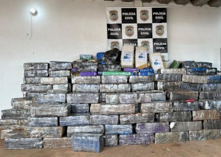 Pol&iacute;cia apreende 7,5 toneladas de maconha em milharal