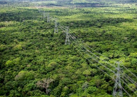 Impacto da transmissão de energia em território indígena é tema de debate na Câmara nesta terça