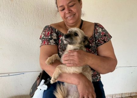Inscrições ao programa de castração seguem até a próxima segunda