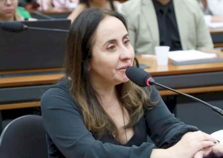 Projeto cria programa de doação incentivada para beneficiar educação básica