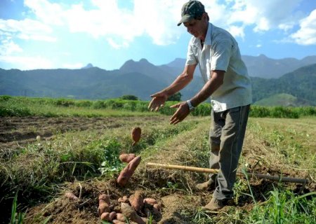 Ano de 2023 é marco no Programa Nacional de Reforma Agrária