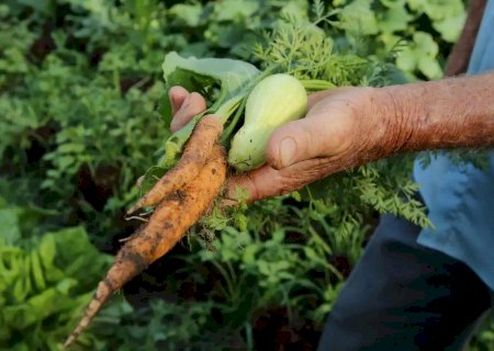 Primeiro projeto do ano garante alimentos da agricultura familiar na merenda escolar