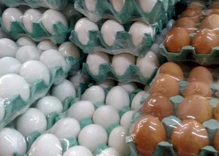 Ovos: preços atingem menores patamares desde janeiro de 2022