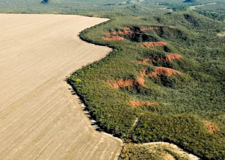 Cerrado perde em janeiro área equivalente à de Maceió