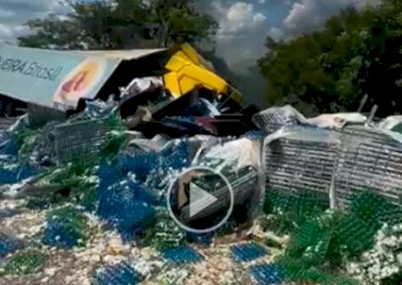 Motorista de caminhonete morreu carbonizado ap&oacute;s bater em caminh&atilde;o