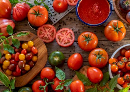 Investimento do Mapa em tecnologia desenvolve novas variedades de tomate