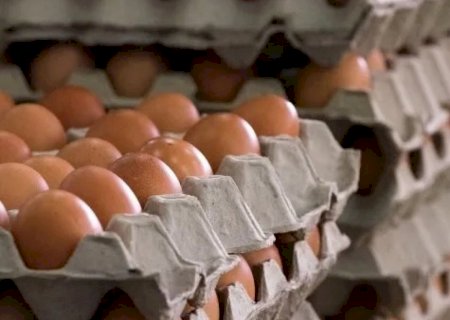 Levantamento aponta novas altas nos preços do ovos