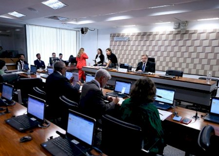 Comissão adia análise da criação da Semana do Lixo Zero