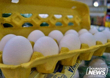 Alta de preço dos ovos ultrapassa os 20% em fevereiro