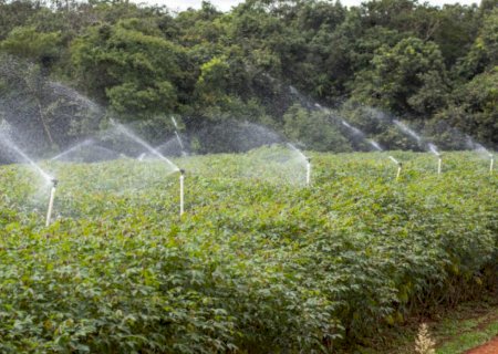 Incentivo para energias renováveis em projetos de irrigação é aprovado