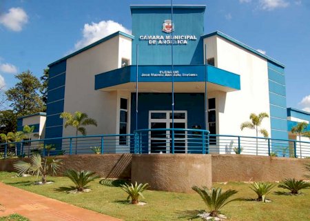 ANGÉLICA: Vereadores pedem implantação de Lei de Conscientização do Autismo e de adesão de um Plano de Saúde