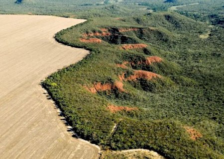 Área desmatada no Brasil em 2023 cai 11,6%, indica MapBiomas