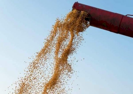 Ajustes na &aacute;rea de milho e soja resultam em produ&ccedil;&atilde;o de 295 milh&otilde;es de toneladas
