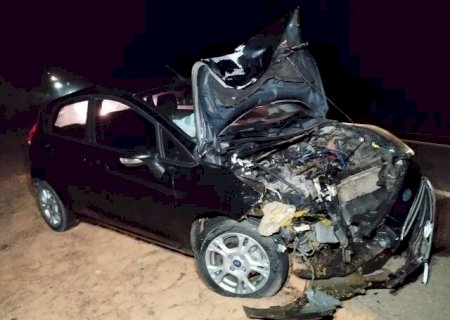 Carro com fam&iacute;lia fica destru&iacute;do ao atropelar e matar anta na BR-163