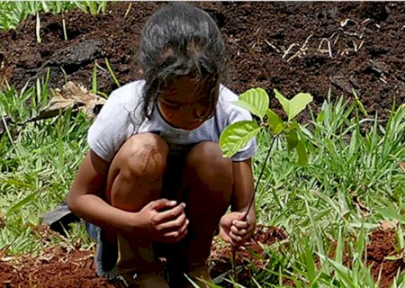Estudo revela efetividade das ações de conservação ambiental