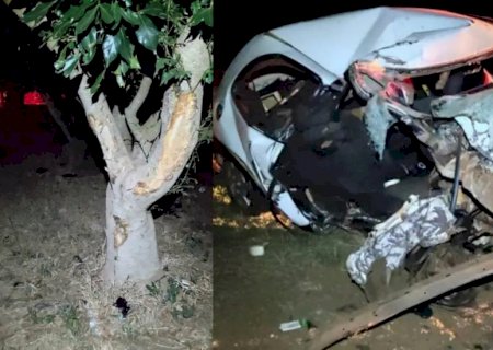 Embriagado, homem bate carro em árvore e esposa e filha de 9 anos morrem em Amambai