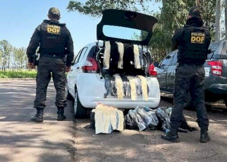 Carga de cabelo humano avaliada em mais de R$ 1 milh&atilde;o &eacute; apreendida