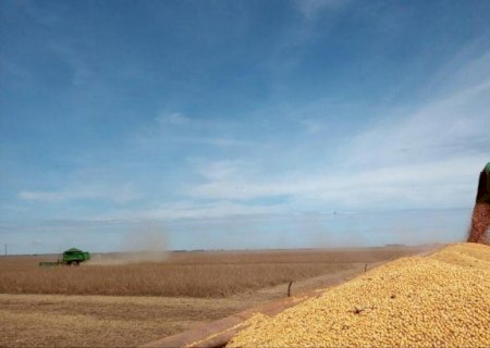 IBGE: Produção de grãos cresce 24,1% em Mato Grosso do Sul em outubro