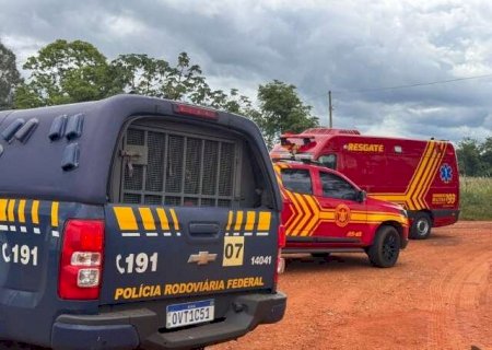 Homem prefere morrer atacado por abelhas a ser preso por tr&aacute;fico