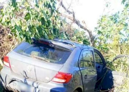 Motorista &eacute; encontrado morto dentro de carro em meio a vegeta&ccedil;&atilde;o