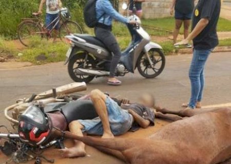Cavalos soltos causam grave acidente com moto e tumultua avenida