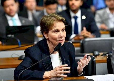 Novo licenciamento ambiental n&atilde;o reduz prote&ccedil;&atilde;o e endurece puni&ccedil;&otilde;es, diz Tereza