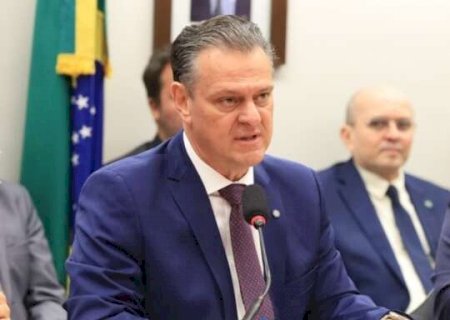 Brasil pode se declarar livre da gripe avi&aacute;ria em 14 dias, diz ministro
