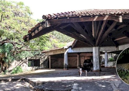 Onças moram em hotel abandonado em bairro de cidade no coração do Pantanal?