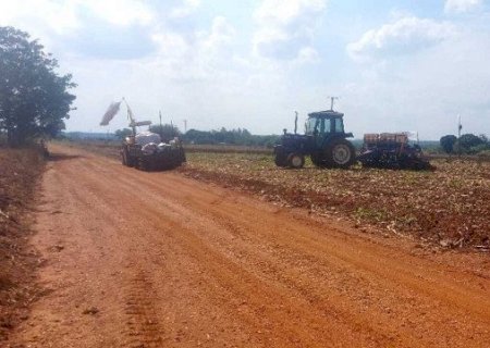 Produtor morre após ataque de abelhas em sítio na zona rural de Fátima do Sul